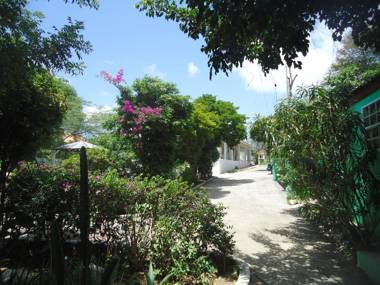 Happy Turtle Apartments