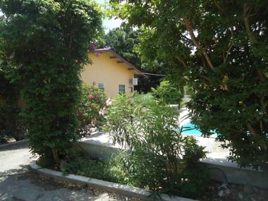 Happy Turtle Apartments