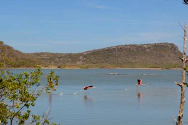 Bohemi Design Villa's