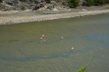 Bungalow Cas Abou 21