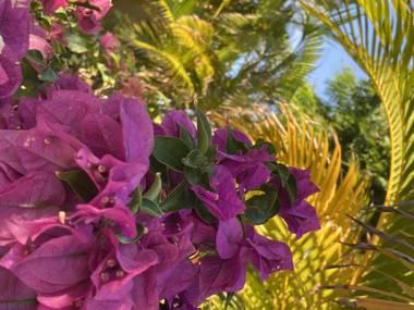 Home Sweet Home Jan Thiel Curacao best view