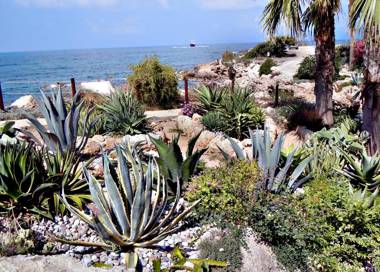 Rododafni Beach Apartments