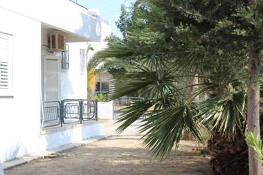 Costas Hostel Action 2