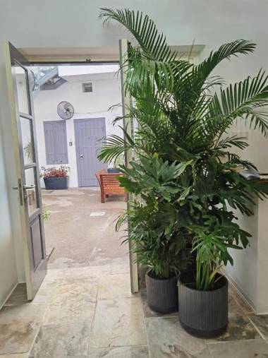 Edem Traditional House