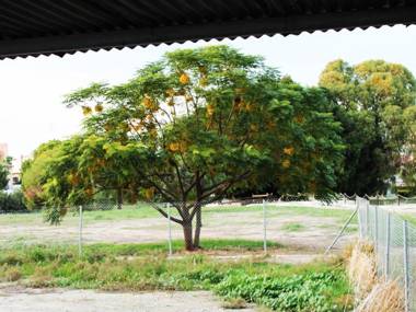 Duplex Comfort Apartments