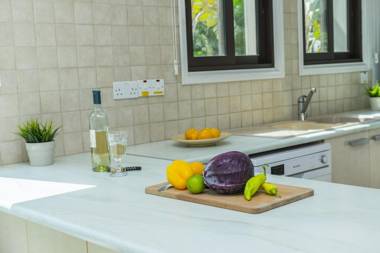 Protaras Holiday Villa Alexa