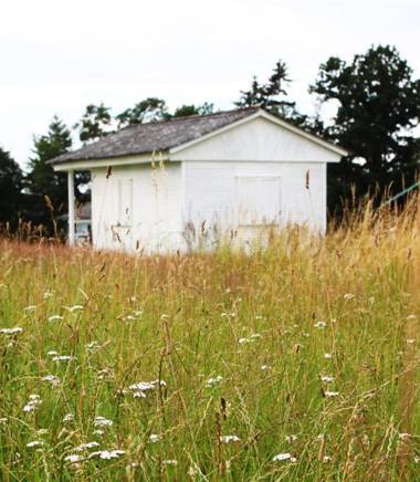 Malý Oslov Glamping
