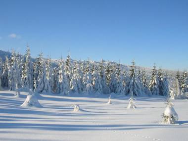 Apartmany hotelu Ostry