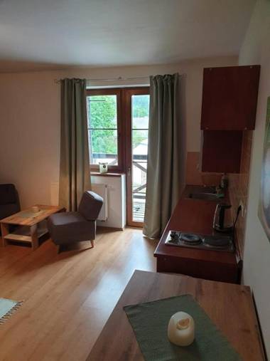 Apartmán Železná Ruda