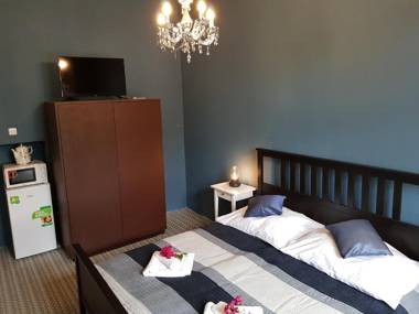 Vila Janáčkova - 1st republic villa