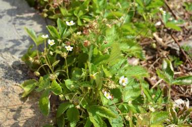 Holiday home U Luboše