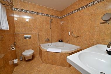 LH Hotel Dvořák Tábor Congress & Wellness