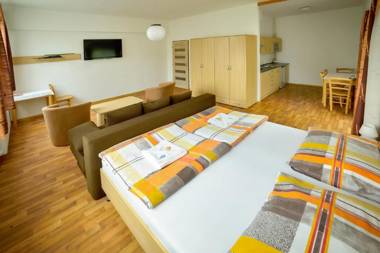 Zimní Stadion Tábor