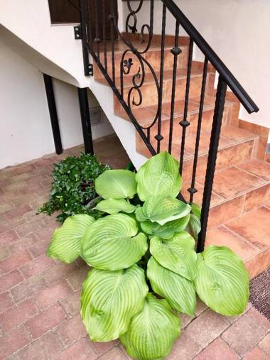 Apartmány U Vavřince