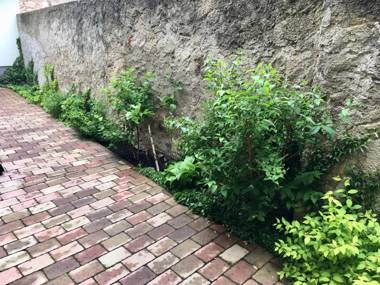 Apartmány U Vavřince