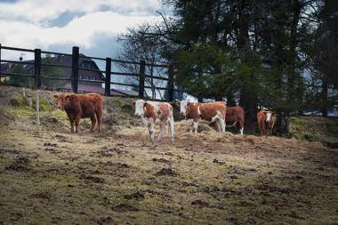 Penzion Farma U Mauritzů