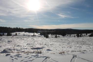 Šumaváček - Exclusive