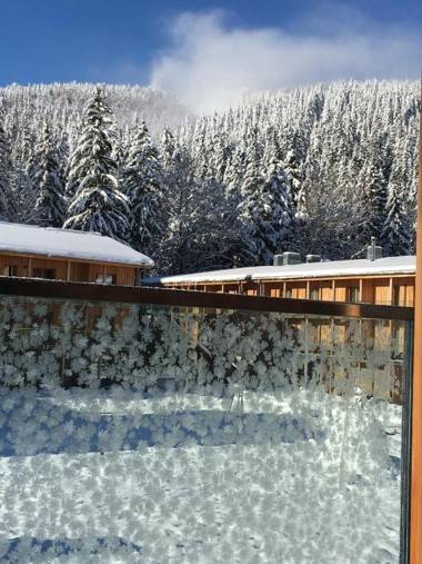 Apartment Medvědín 331/110