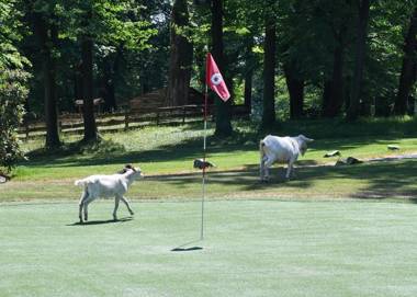 Zámek Šilheřovice