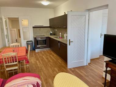 Bezauberndes Gästehaus in Satov