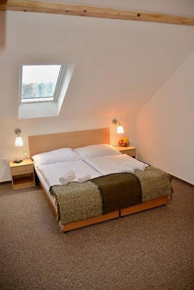 Wellness Vila Bohemia