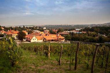 Apartmány Vinice Salabka