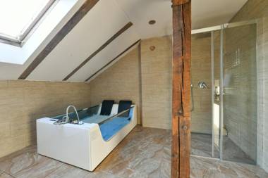 Amazing Charles Bridge Apartment