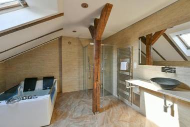 Amazing Charles Bridge Apartment