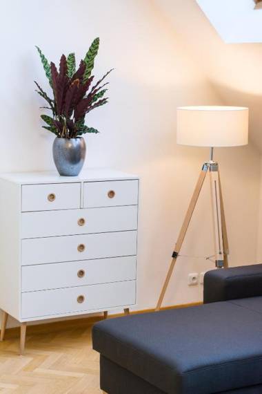 Luxury Apartment Maiselova