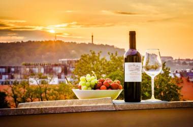 HOME ALONE 5BR+3BATH Penthouse in center of Prague