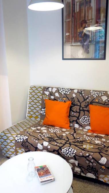 Magnificent apartment in the center of Prague