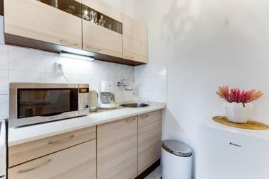 Wenceslass Square Luxury Apartment