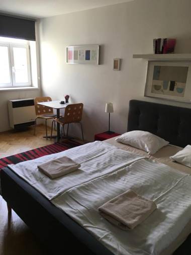 Cosy Studio apartment near Florenc Prague CZ