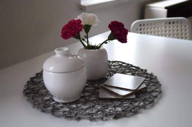 Apartment Olomouc Centre