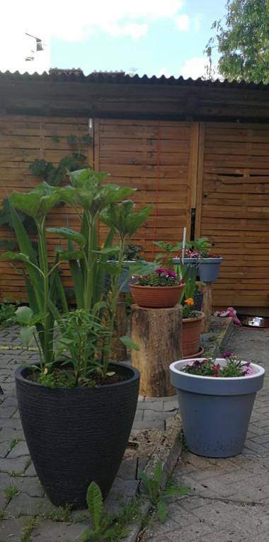 Penzion Libertas Mariánské Lázně