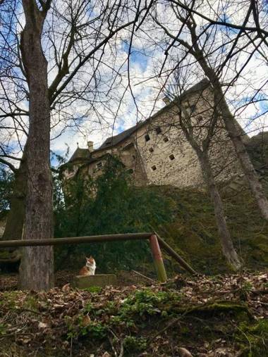 Apartments No 126 Loket