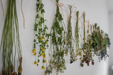 Penzion U Babky bylinkářky