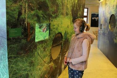 Apartmán - Dům Českého Švýcarska