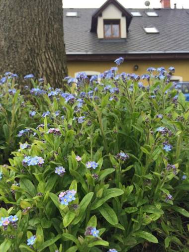 Penzion Na Červeném Potoce