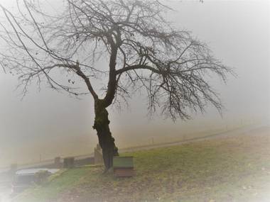 Apartmány Tollendorf Lužické hory