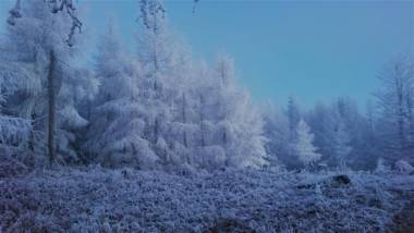 Apartmány Tollendorf Lužické hory