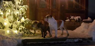 Apartmány Tollendorf Lužické hory