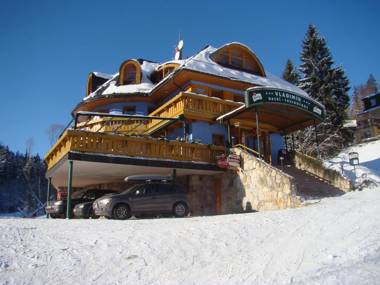 Hotel Vladimír