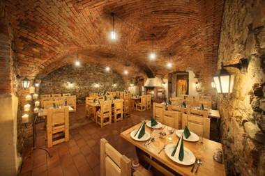 Záviš z Falkenštejna