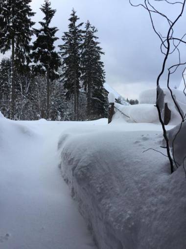 HT Chalets Harrachov