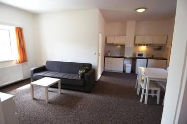 Apartments Otre Frymburk