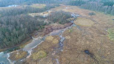 Apartment Pension Stark