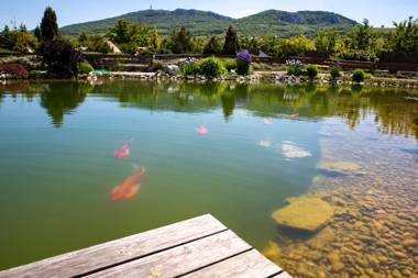 Amenity Penzion Horni Vestonice