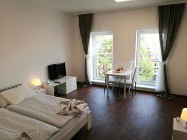 Haas Apartments Downtown with Parking