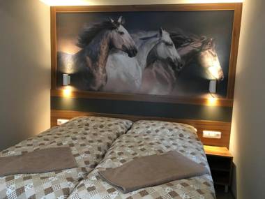 Hotel U koně
